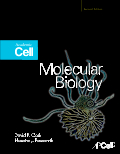 Molecular Biology, 2nd Edition