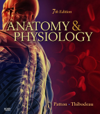 cover image - Anatomy & Physiology,7th Edition