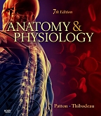 cover image - Anatomy and Physiology Online for Anatomy & Physiology,7th Edition