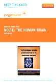 cover image - Nolte's The Human Brain - Elsevier eBook on VitalSource (Retail Access Card),6th Edition