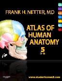 cover image - Atlas of Human Anatomy Elsevier eBook on VitalSource,5th Edition