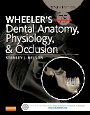 cover image - Evolve Resources for Wheeler's Dental Anatomy, Physiology and Occlusion,10th Edition