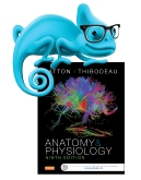 cover image - Elsevier Adaptive Learning for Anatomy and Physiology,9th Edition