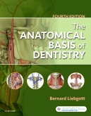 cover image - The Anatomical Basis of Dentistry - Elsevier eBook on VitalSource,4th Edition
