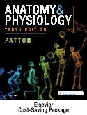 cover image - Anatomy & Physiology - Binder-Ready (includes A&P Online course),10th Edition