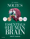Noltes Essentials of the Human Brain E-Book