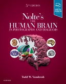 Noltes The Human Brain in Photographs and Diagrams
