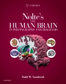 Noltes The Human Brain in Photographs and Diagrams E-Book