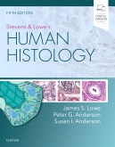 cover image - Stevens & Lowe's Human Histology - Elsevier eBook on VitalSource,5th Edition