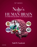 cover image - Evolve Resources for The Human Brain in Photographs and Diagrams,5th Edition