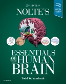 cover image - Nolte's Essentials of the Human Brain Elsevier eBook on VitalSource,2nd Edition