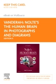 cover image - Nolte's The Human Brain in Photographs and Diagrams - Elsevier E-Book on VitalSource (Retail Access Card),5th Edition