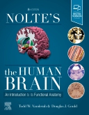 Noltes The Human Brain Elsevier eBook on VitalSource