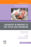 Advances in Neuroimaging of the Fetus and Newborn, An Issue of Clinics in Perinatology, E-Book