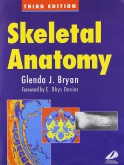 Skeletal Anatomy