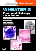 cover image - Wheater's Functional Histology,6th Edition