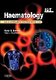 cover image - Haematology,4th Edition