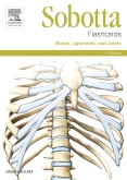Sobotta Flashcards Bones, Ligaments, and Joints
