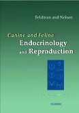 cover image - Canine and Feline Endocrinology & REPROD,3rd Edition