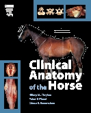 Clinical Anatomy of the Horse - E-Book