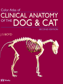 Colour Atlas of Clinical Anatomy of the Dog and Cat E-Book