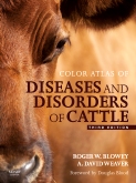 SD - Color Atlas of Diseases and Disorders of Cattle Text and Evolve eBooks Package E-Book
