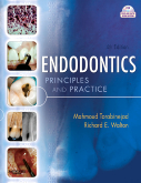 cover image - Endodontics,4th Edition