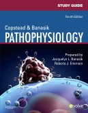 cover image - Study Guide for Pathophysiology,4th Edition