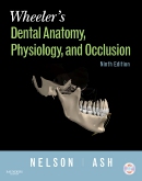 cover image - Wheeler's Dental Anatomy, Physiology and Occlusion,9th Edition