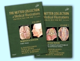 The Netter Collection of Medical Illustrations: Nervous System Package