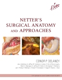 cover image - Netter's Surgical Anatomy and Approaches