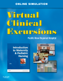 cover image - Virtual Clinical Excursions 3.0 for Introduction to Maternity and Pediatric Nursing,6th Edition