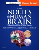 cover image - Nolte's The Human Brain,7th Edition
