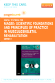 cover image - Scientific Foundations and Principles of Practice in Musculoskeletal Rehabilitation - Elsevier eBook on VitalSource (Retail Access Card)