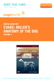 cover image - Miller's Anatomy of the Dog - Elsevier eBook on VitalSource (Retail Access Card),4th Edition