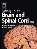 cover image - Evolve Resources for Color Atlas of the Brain and Spinal Cord,2nd Edition