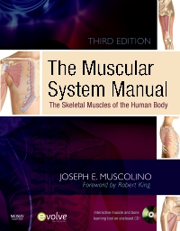 cover image - The Muscular System Manual - Elsevier eBook on VitalSource,3rd Edition