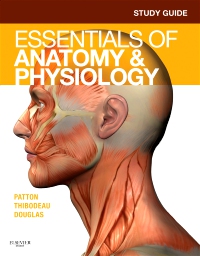 cover image - Study Guide for Essentials of Anatomy & Physiology
