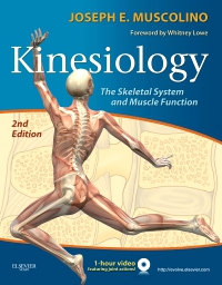 cover image - Kinesiology - Elsevier eBook on VitalSource,2nd Edition