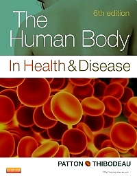 complete anatomy windows discount complete anatomy windows discount