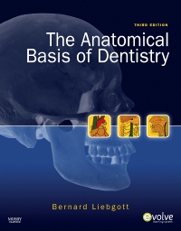 cover image - The Anatomical Basis of Dentistry - Elsevier eBook on VitalSource,3rd Edition