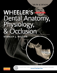 cover image - Wheeler's Dental Anatomy, Physiology and Occlusion - Elsevier eBook on VitalSource,10th Edition