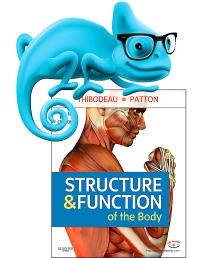 cover image - Elsevier Adaptive Learning for Structure and Function of the Body,14th Edition