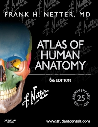 cover image - Atlas of Human Anatomy Elsevier eBook on VitalSource,6th Edition