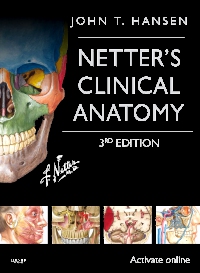 cover image - Netter's Clinical Anatomy Elsevier eBook on VitalSource,3rd Edition