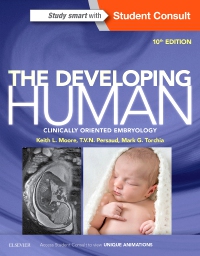cover image - The Developing Human,10th Edition