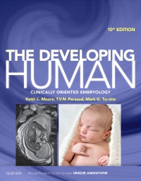 cover image - The Developing Human Elsevier eBook on VitalSource,10th Edition