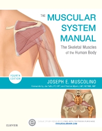 cover image - The Muscular System Manual,4th Edition