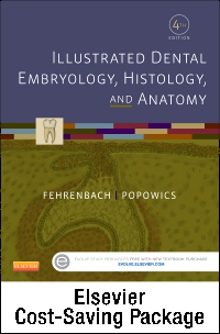 cover image - Illustrated Dental Embryology, Histology, and Anatomy - Text and Student Workbook Package,4th Edition