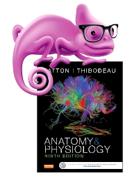 cover image - Elsevier Adaptive Quizzing for Anatomy and Physiology,9th Edition
